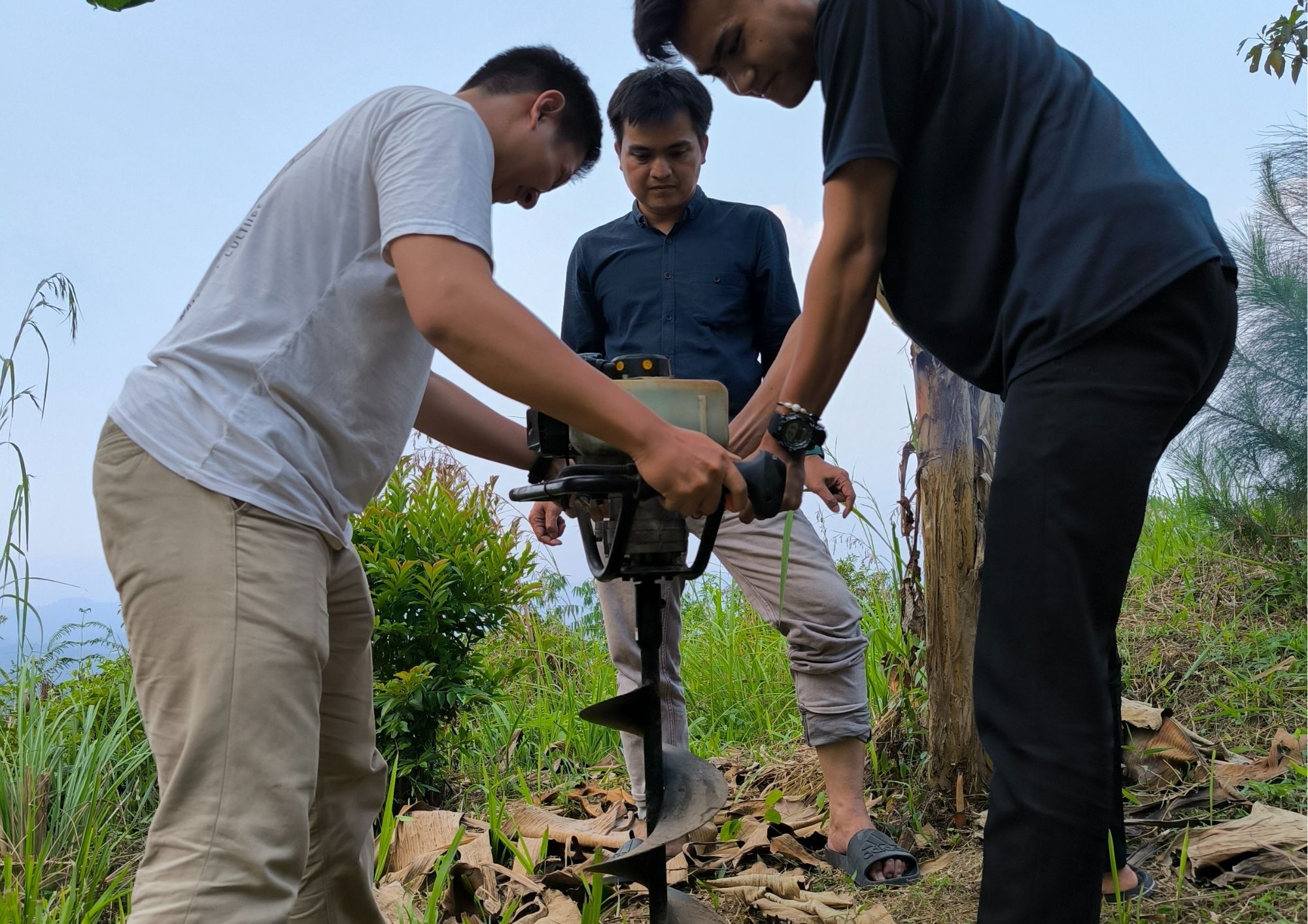 NeraGreen activity