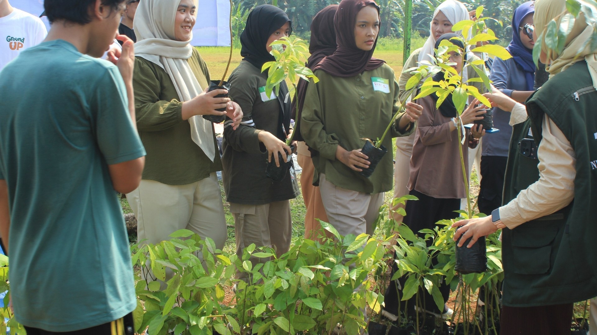 NeraGreen tree planting field impact