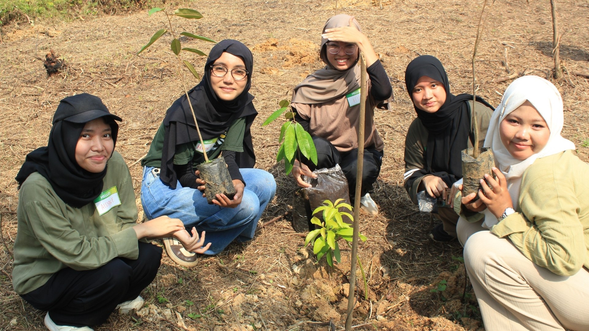 NeraGreen activity