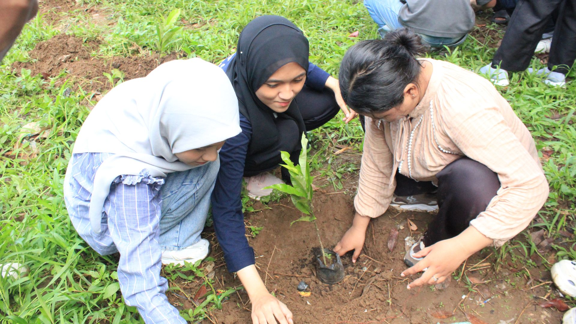 Green Collaboration youth and community environmental action