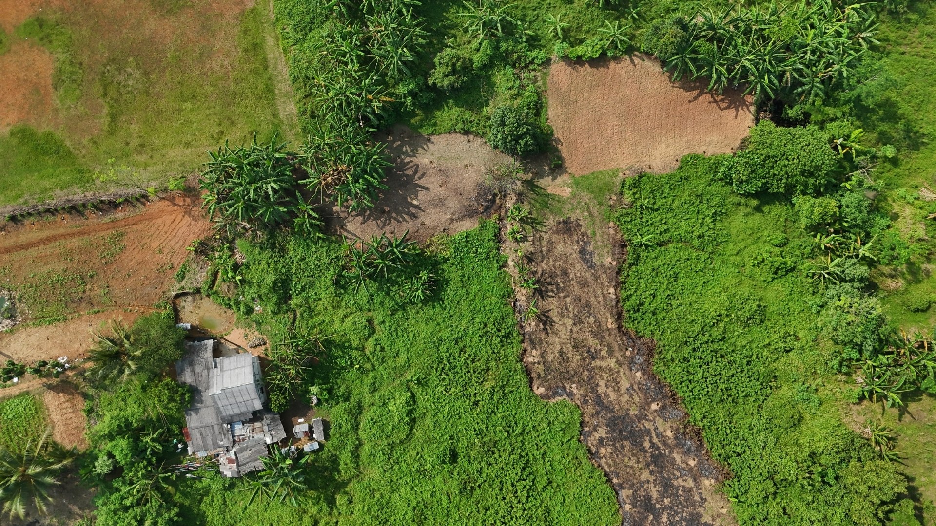 NeraGreen Monitoring and Replanting initiative