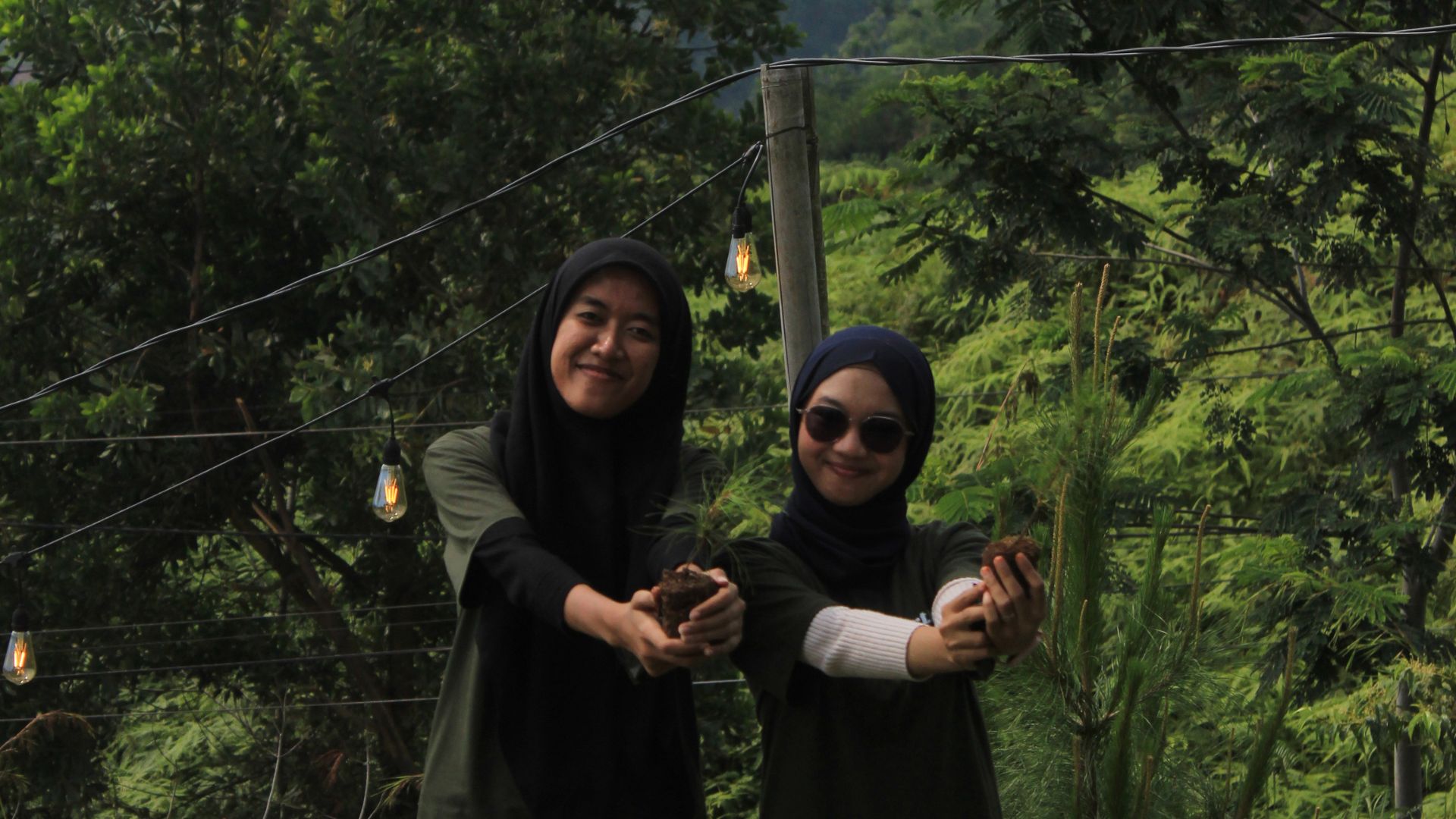 EcoTree Experience corporate environmental activity