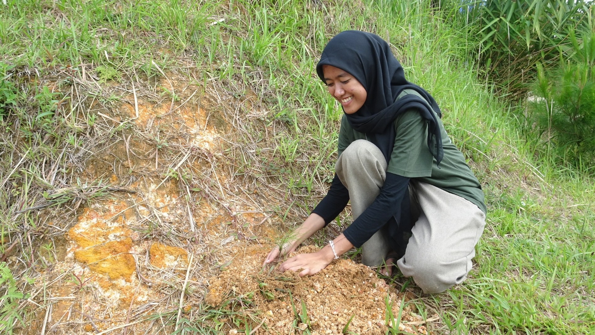 NeraGreen activity