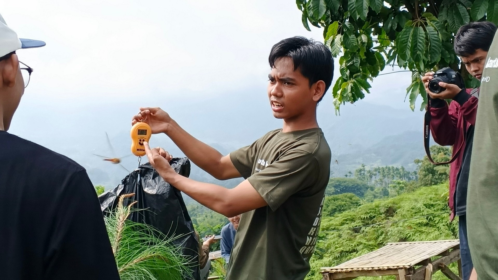 NeraGreen field preparation and planting program