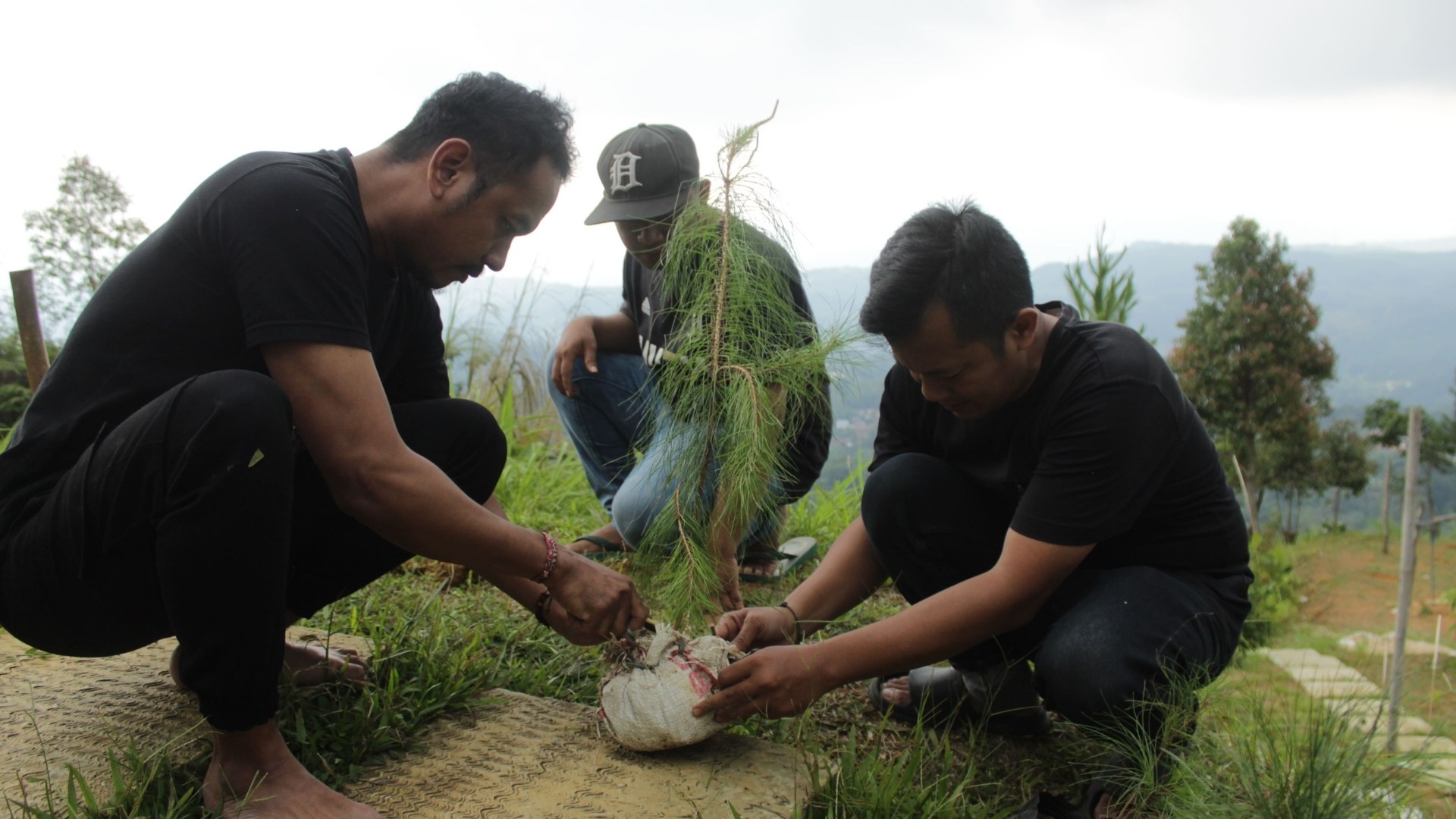 NeraGreen activity