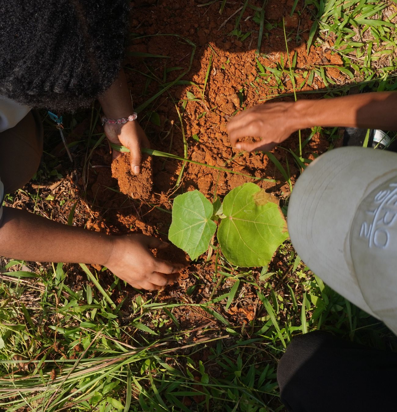 NeraGreen green collaboration in environmental action