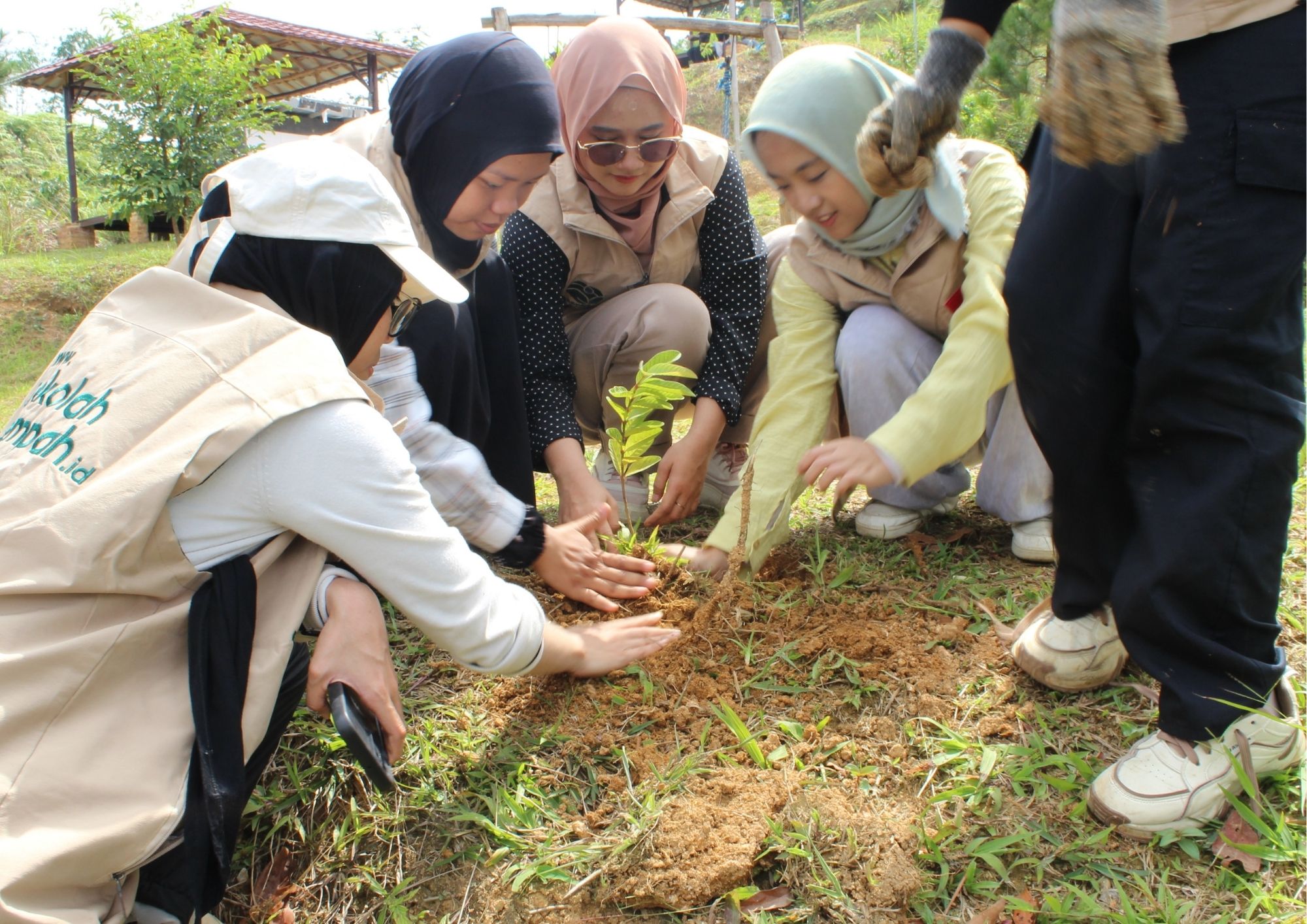 NeraGreen tree planting collaborative network