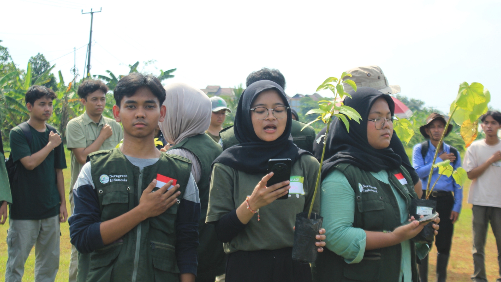 NeraGreen activity