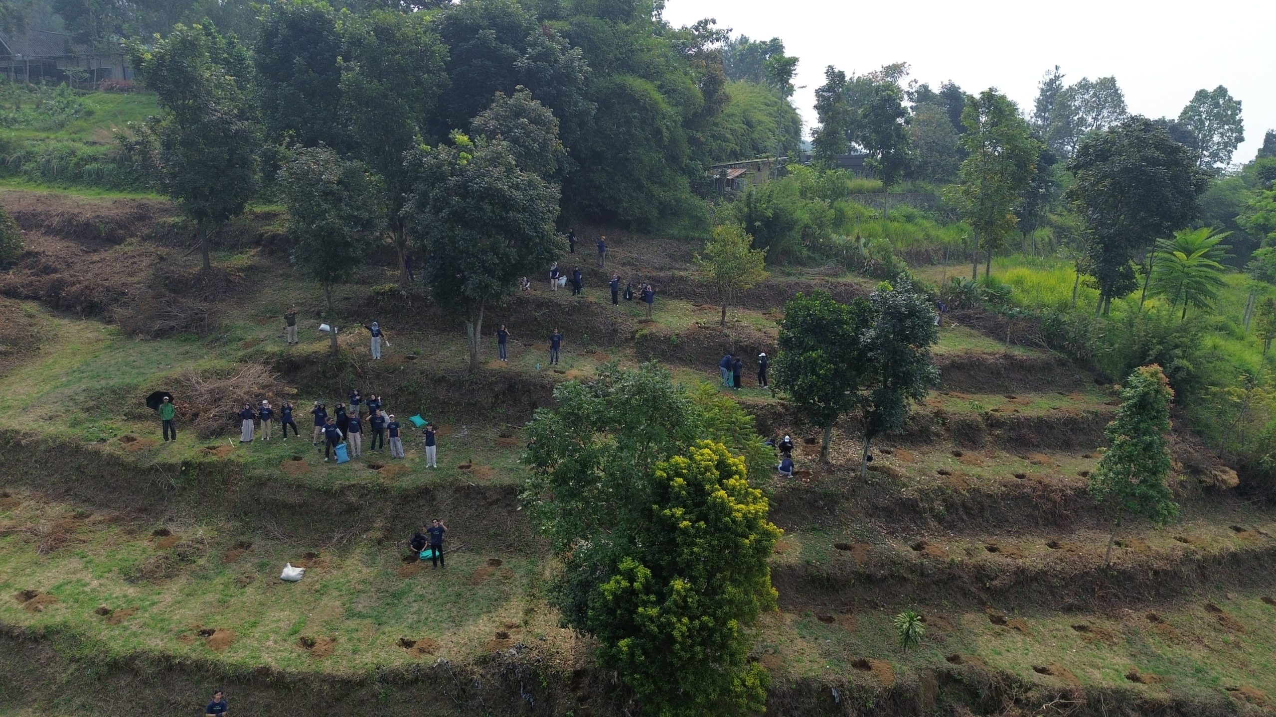 NeraGreen environmental restoration activity