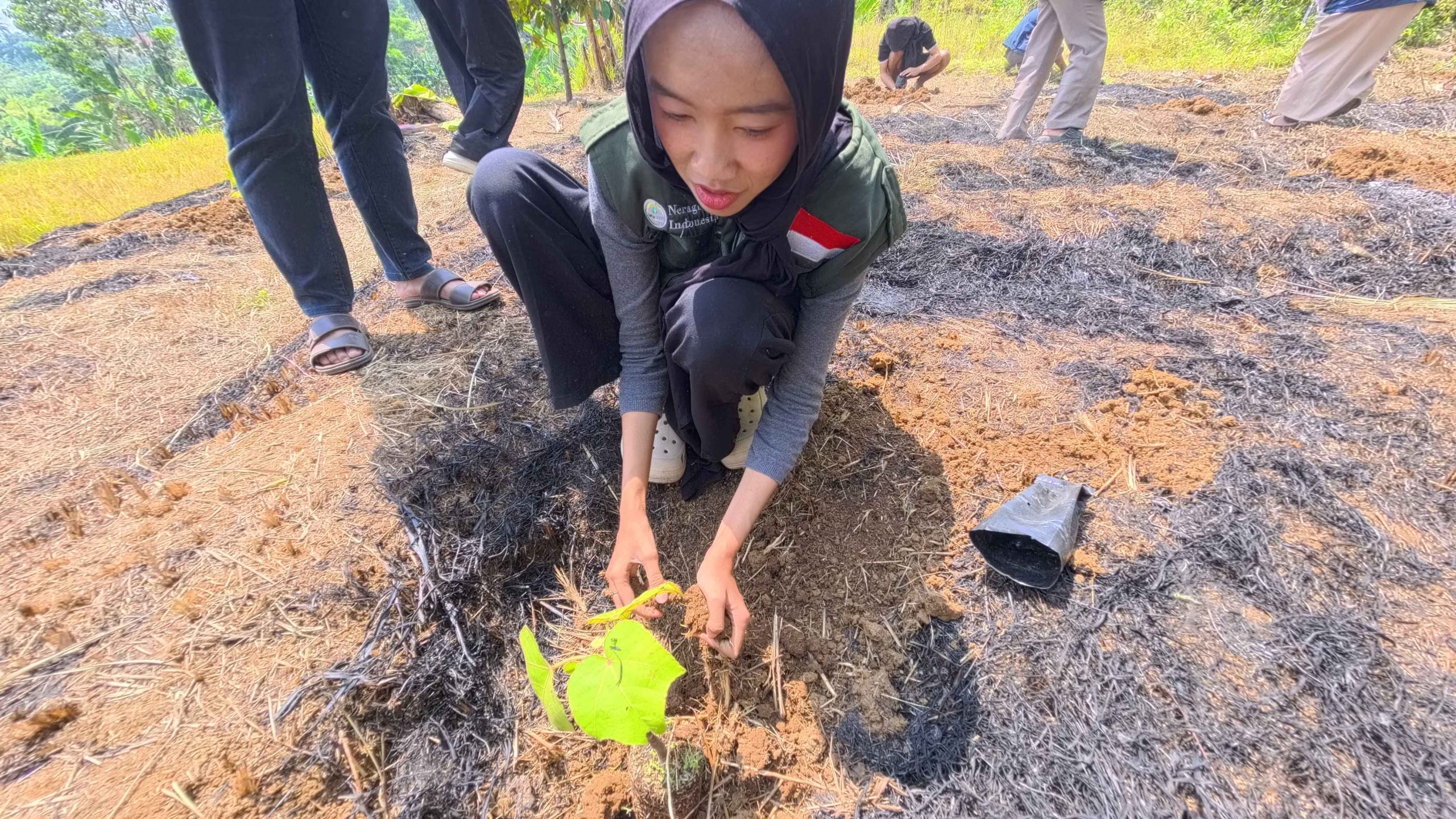 NeraGreen tree planting activity